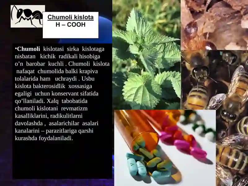 Karbon kislota 4