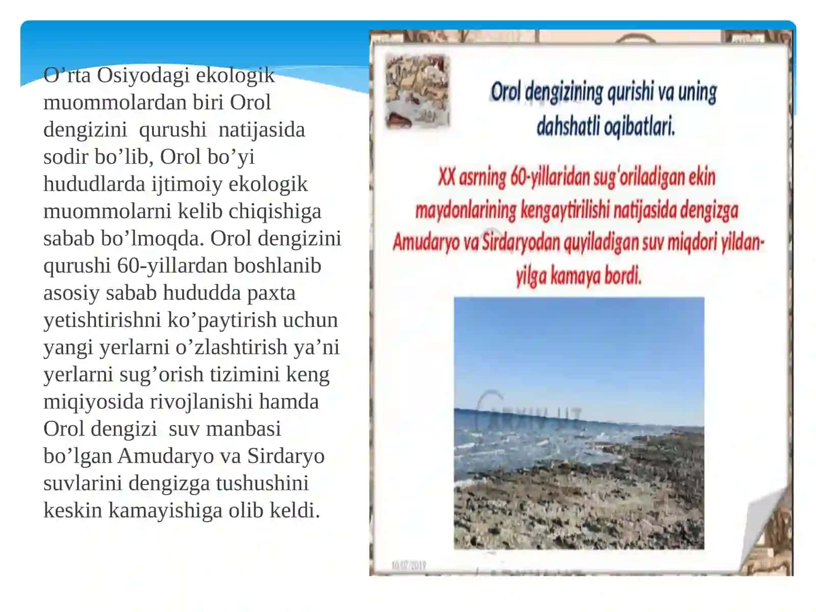 Quyi Amudaryo landshaftlari ekologik barqarorligini ta'minlashda fitomeliorativ tadbirlarning ahamiyati 4