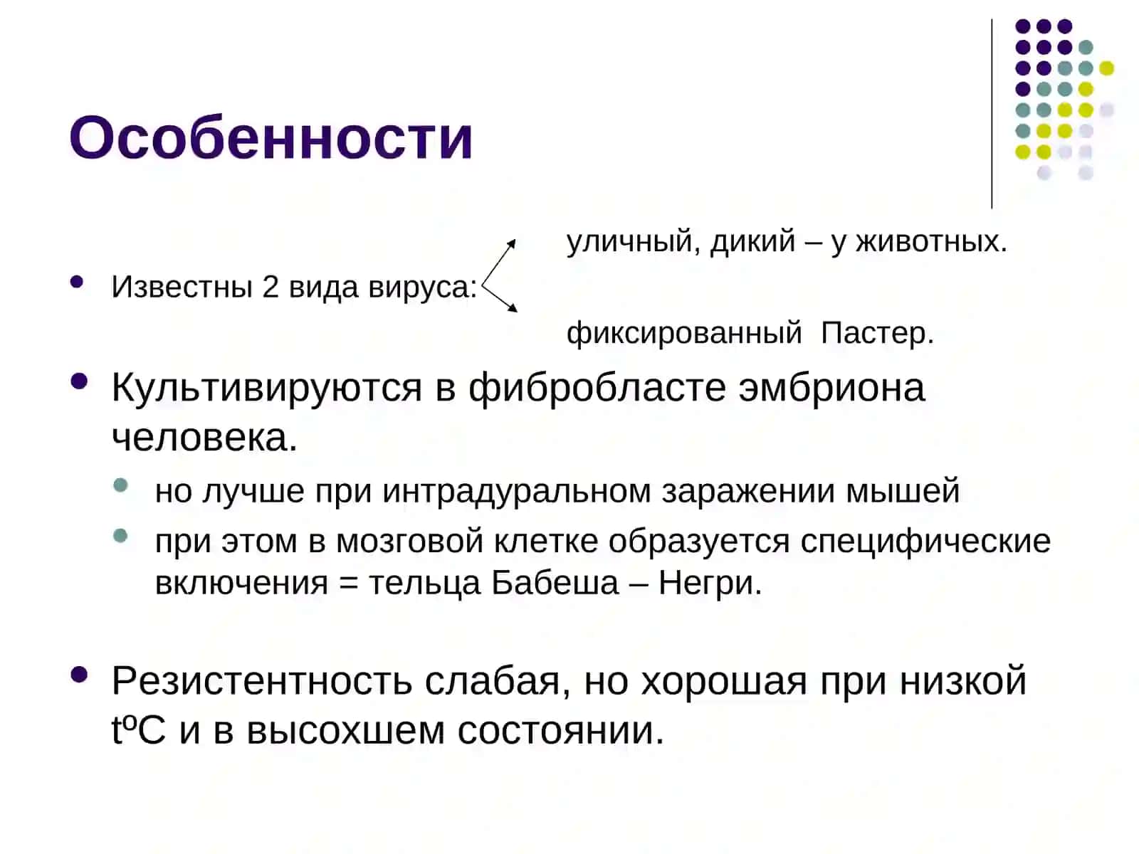 Вирус бешенства 4