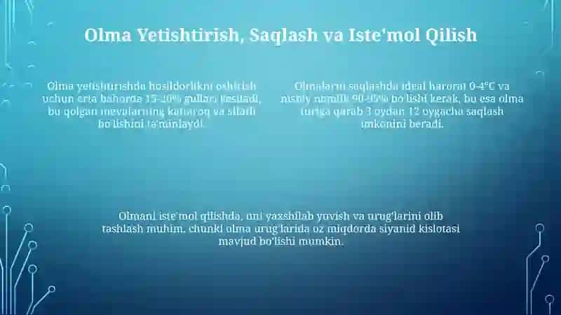 Olmalar haqida 4
