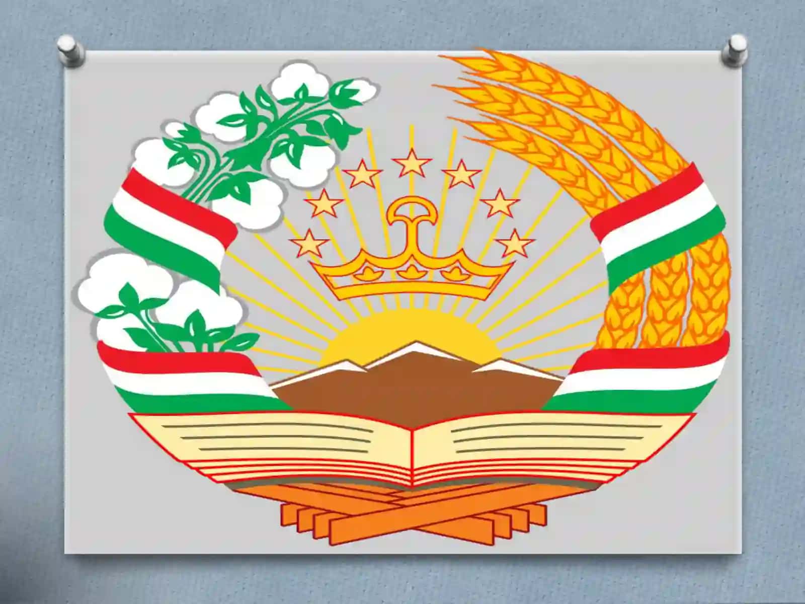 Tojikiston Respublikasi Bojxona siyosati 4