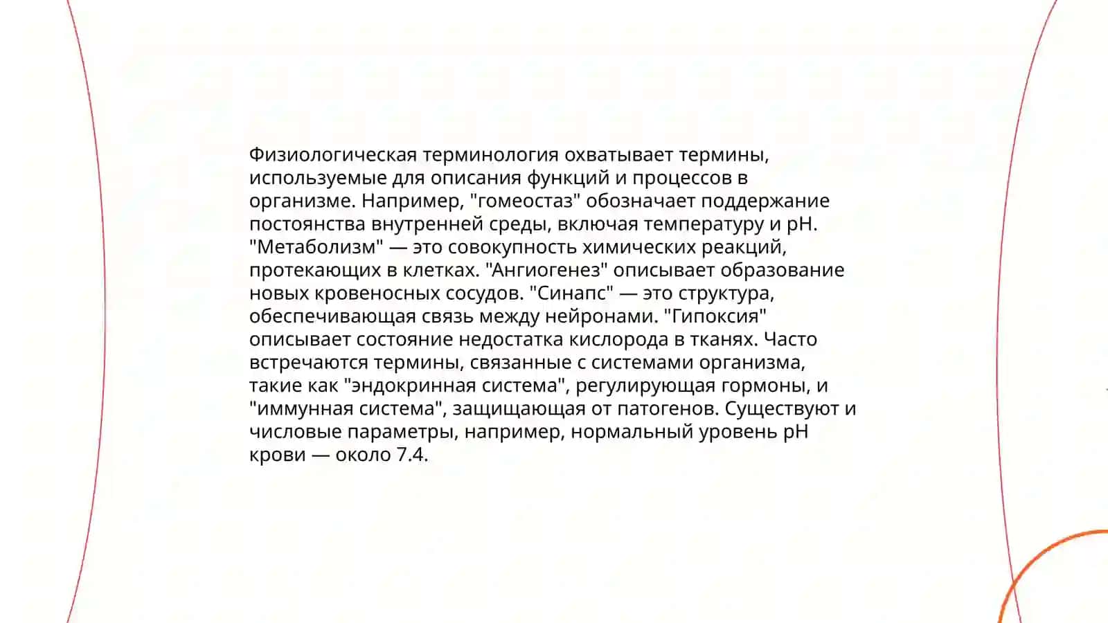 Анатомическая терминология 4