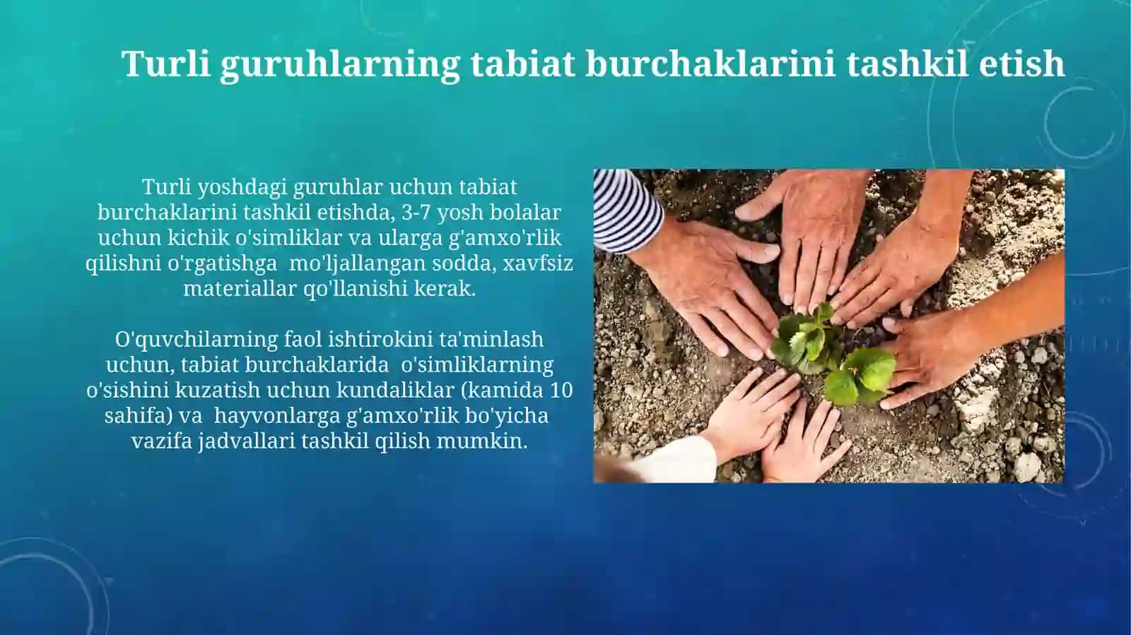 Turli guruhlarda tabiat burchagida osimlik va hayvonlar parvarishi va gʻamxoʻrlik 4