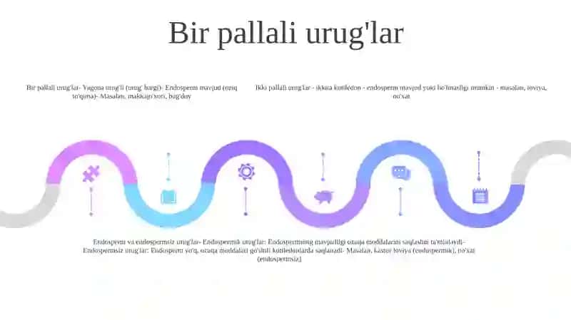 Bir Va Ikki Urug'Pallali O'Simliklarning Urug'Ini Tuzilishi 4
