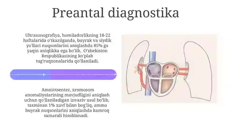 Tug'ma nuqsonlarning tasnifi va patogenezi 4