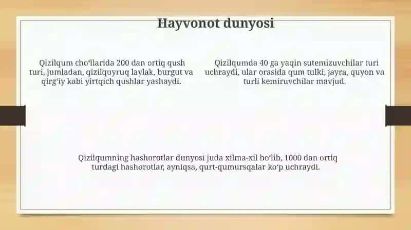 Qizilqum tabiiy geografik okrugi 4