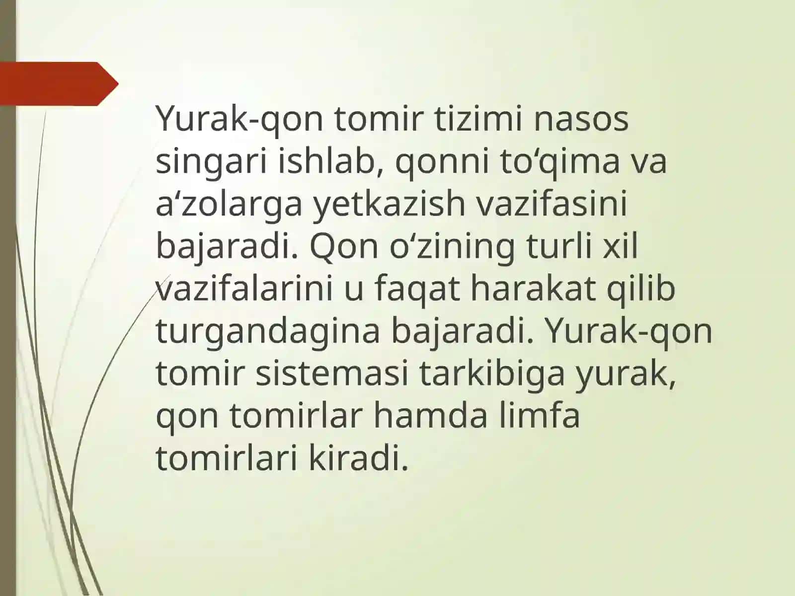 YURAK-QON TOMIR SISTEMASI 4