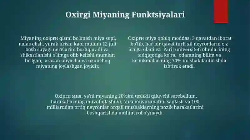 Oxirgi miya 4