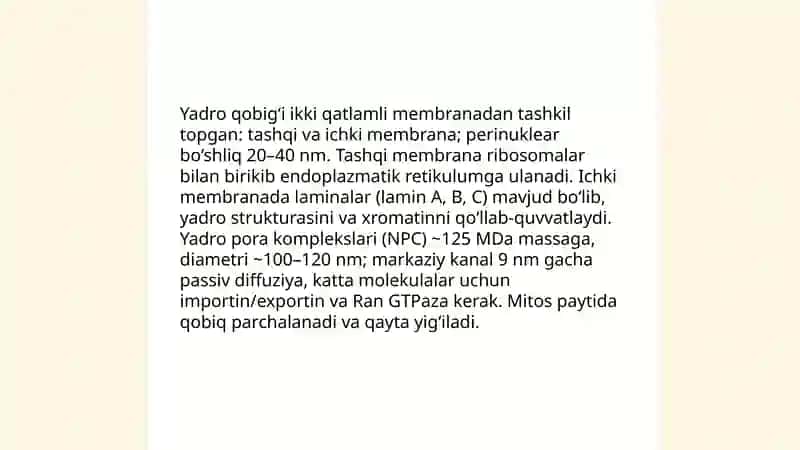 Hujayra yadrosining tarkibi xromosomalar tizilishi va ularning strukturaviy xususiyatlari 4