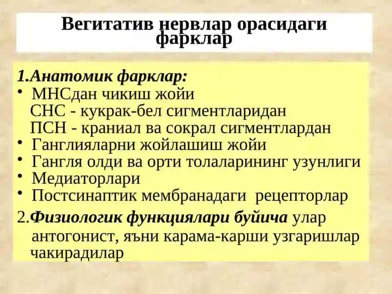 М ва N холиномиметиклар. М ва  N холиноблокаторлар. Антихолинэстераз воситалар 4