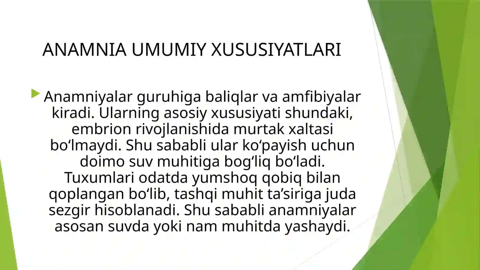 Murtakxaltasiz–Anamniyalar va Murtakxaltali–Amniotalar 4
