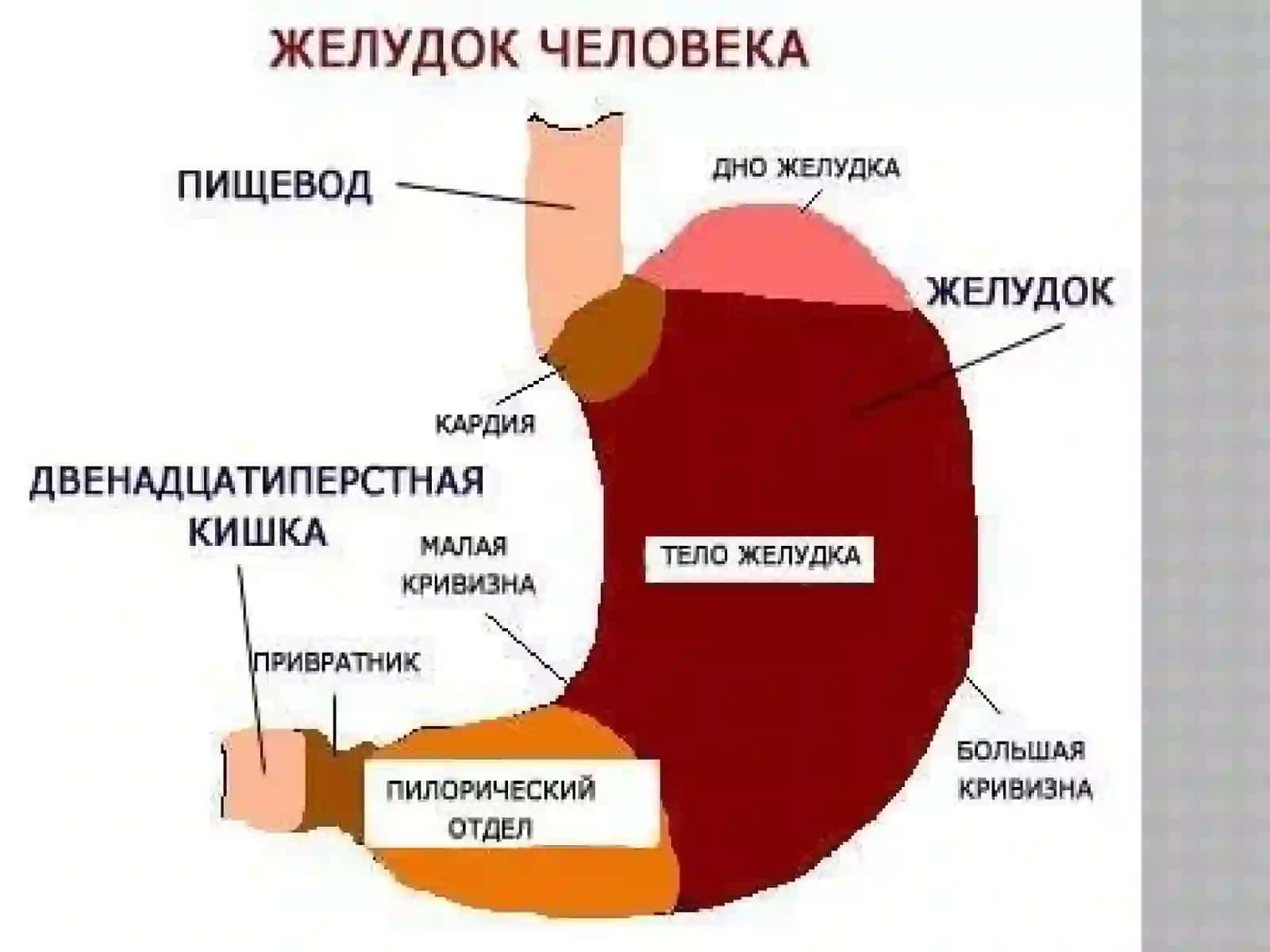 O'tkirva Surun Kaligastritlar 4