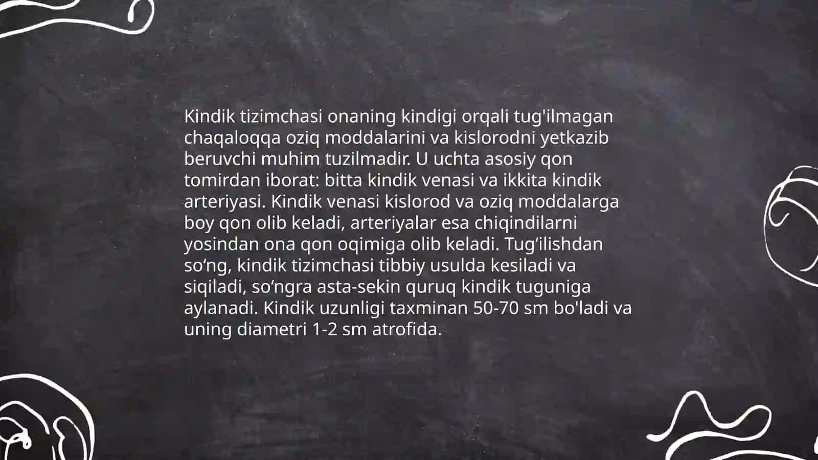 Kindik tizimchasining rivojlanishi, tuzilishi va vazifalari 4