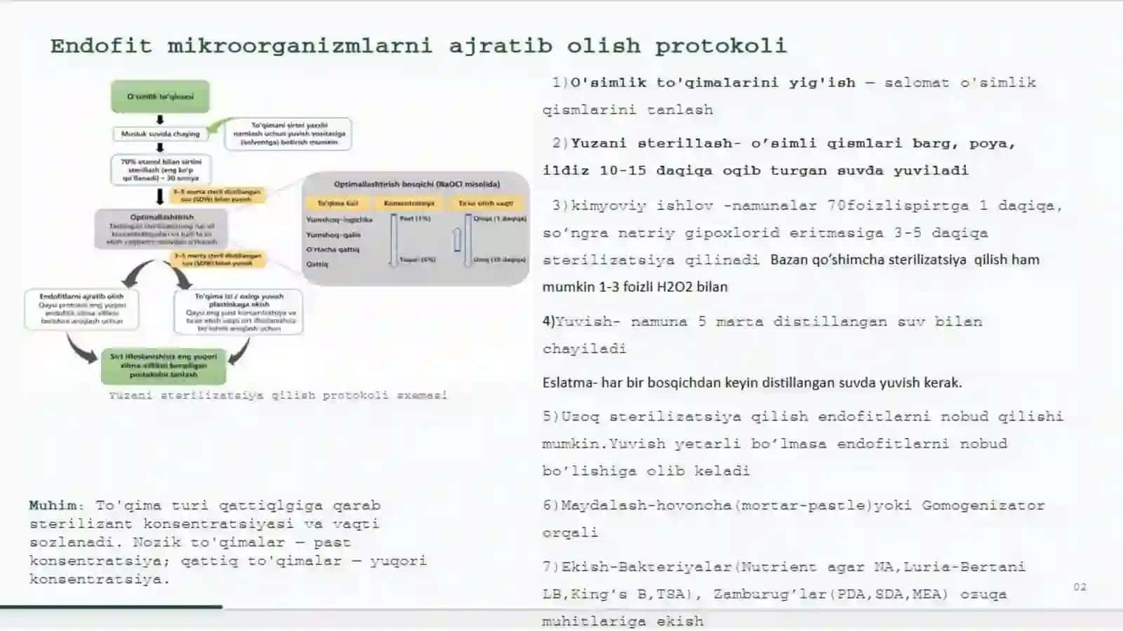 Endofit Mikroorganizmlar Haqida Umumiy Tushuncha 4