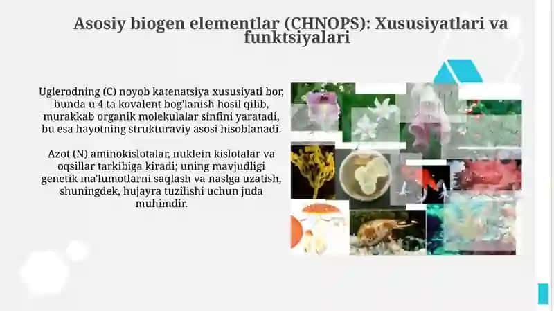 Biogen elementlar 4