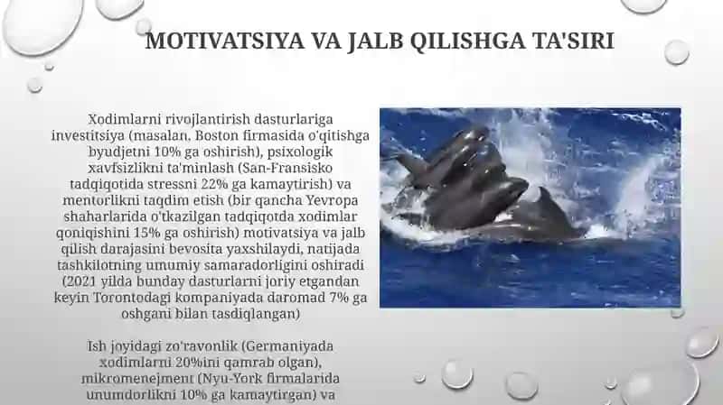 Hamkorlik va jamoa ishlarini rivojlantirish 4