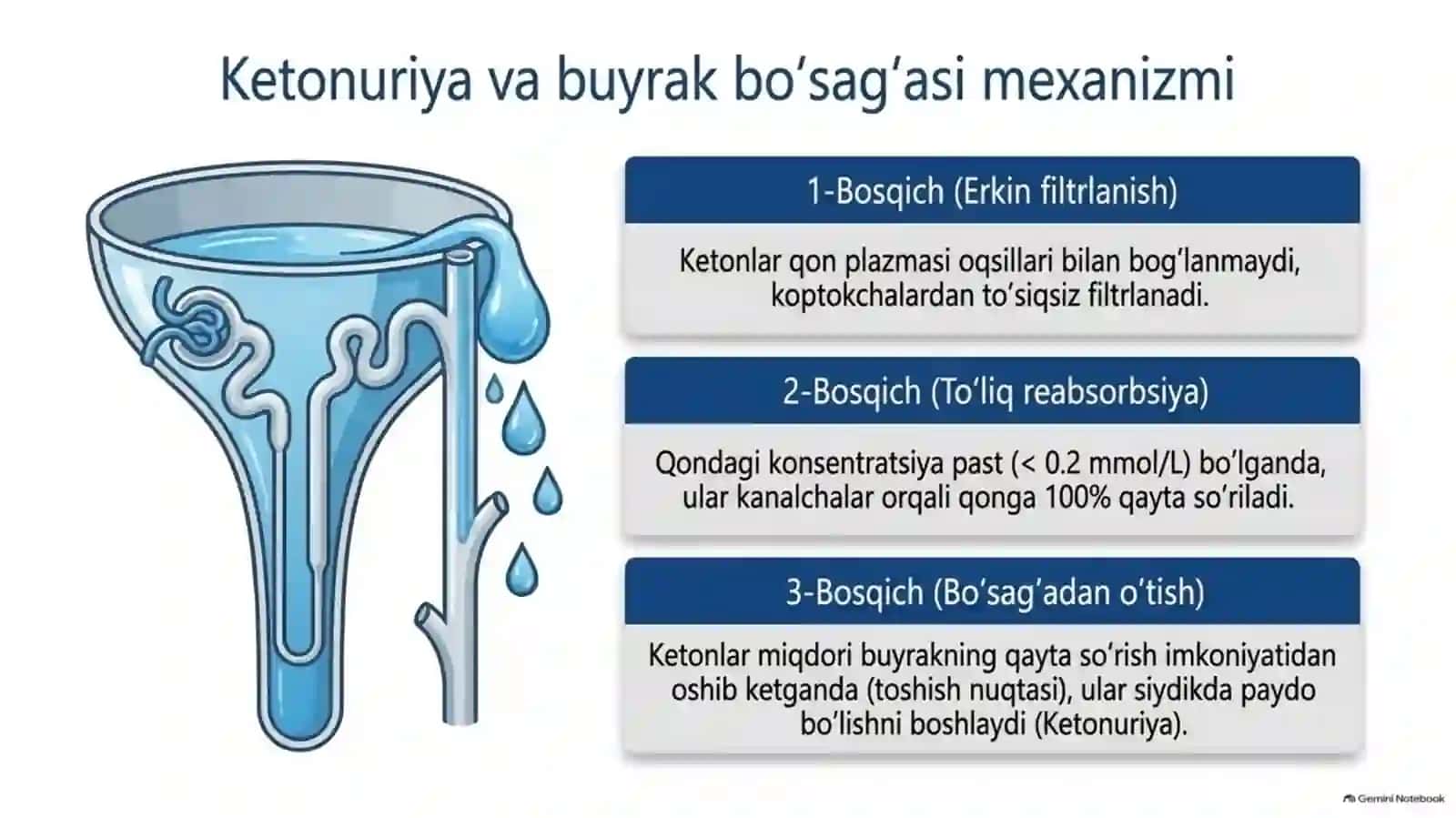 Qandli diabet va ochlikda ketonuriya hamda ketonemiya — 15 slayd 4