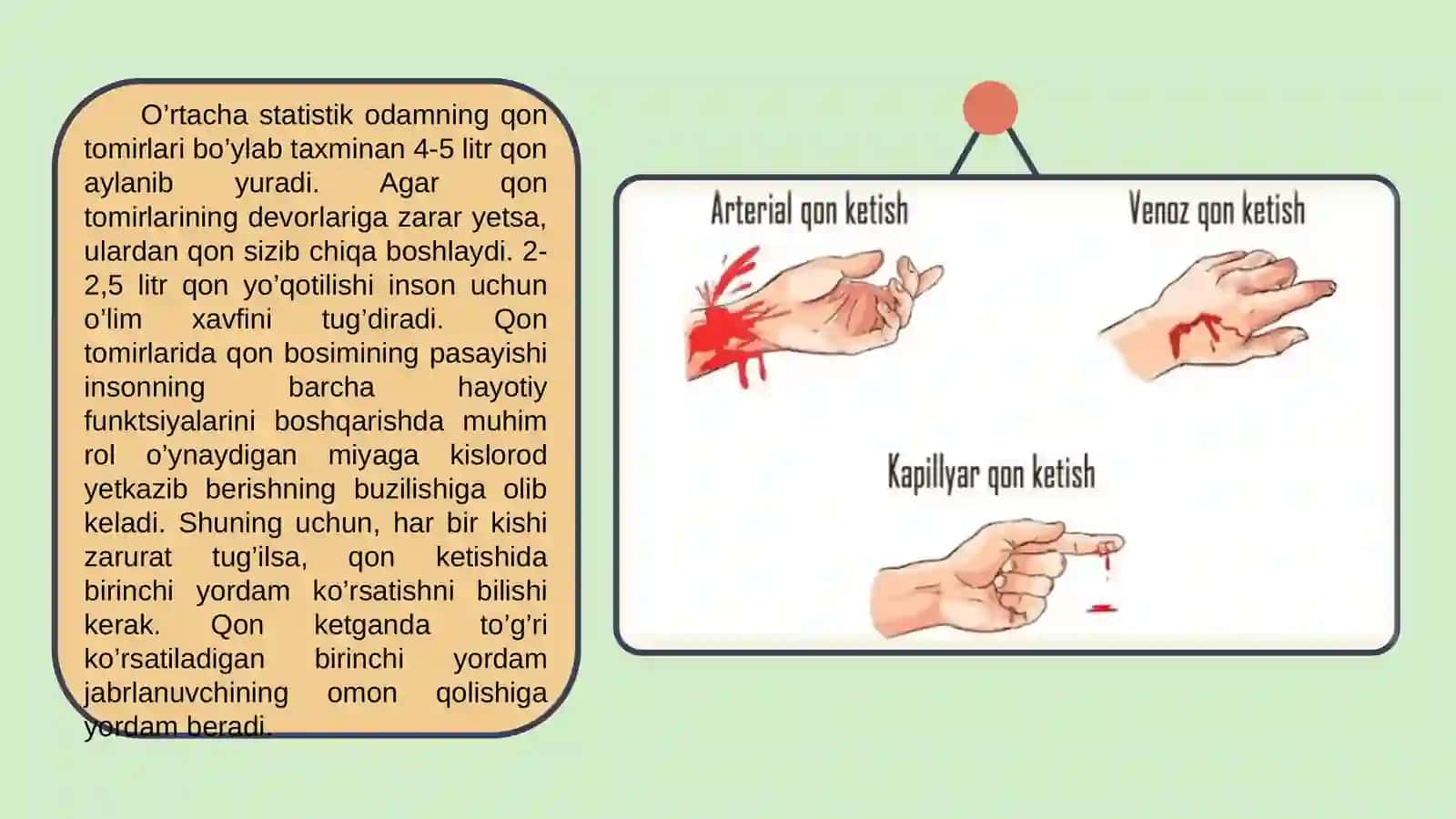 Qon ketishi va qon ketayotganda ko'rsatiladigan birinchi yordam 4