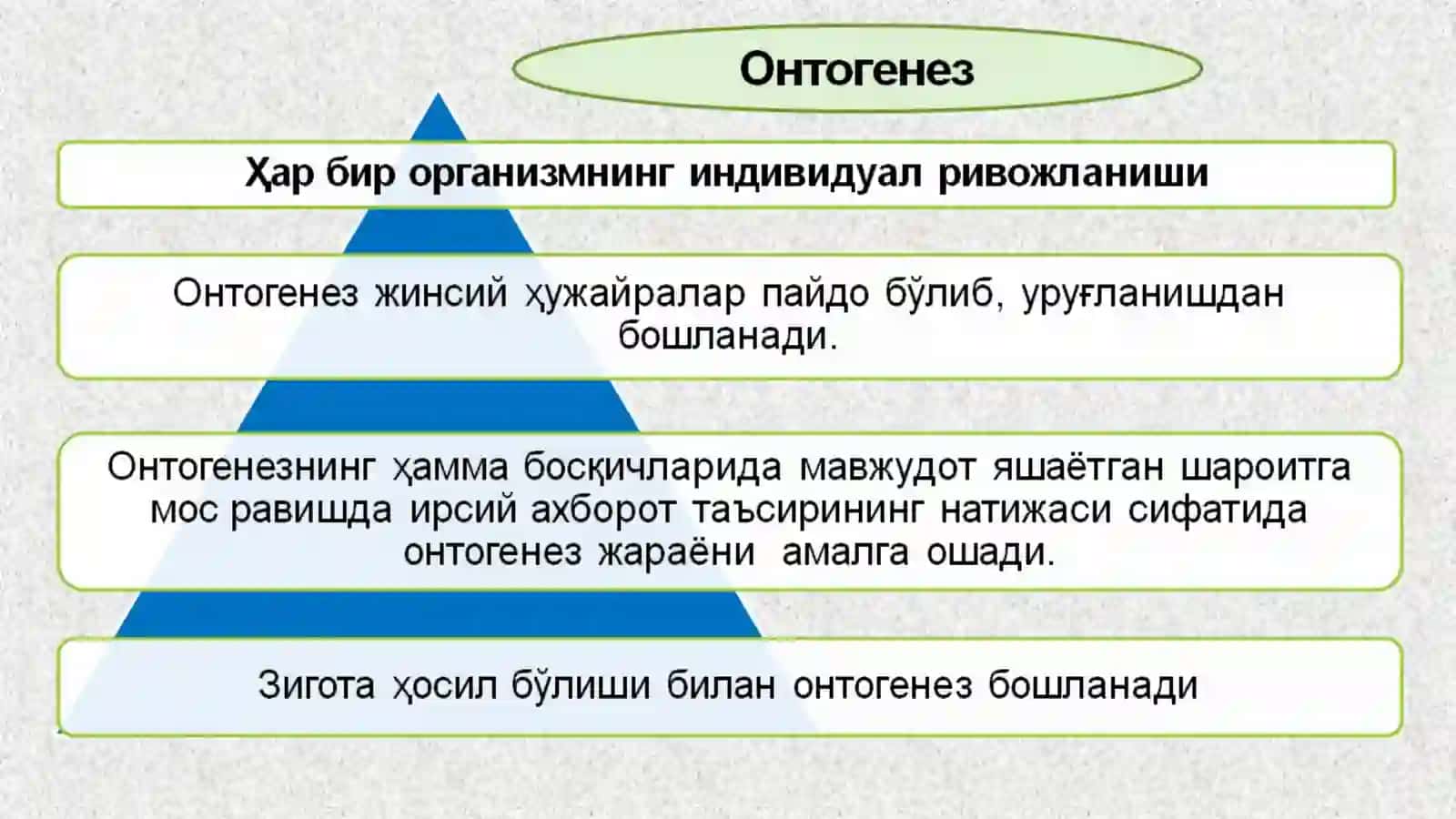 ТИББИЙ БИОЛОГИЯ ВА УМУМИЙ ГЕНЕТИКА 4