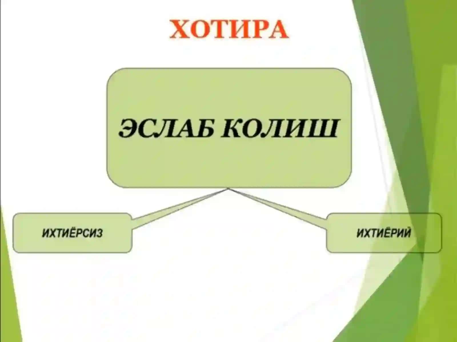 XOTIRA VA DIQQAT BUZILISHLARI 4
