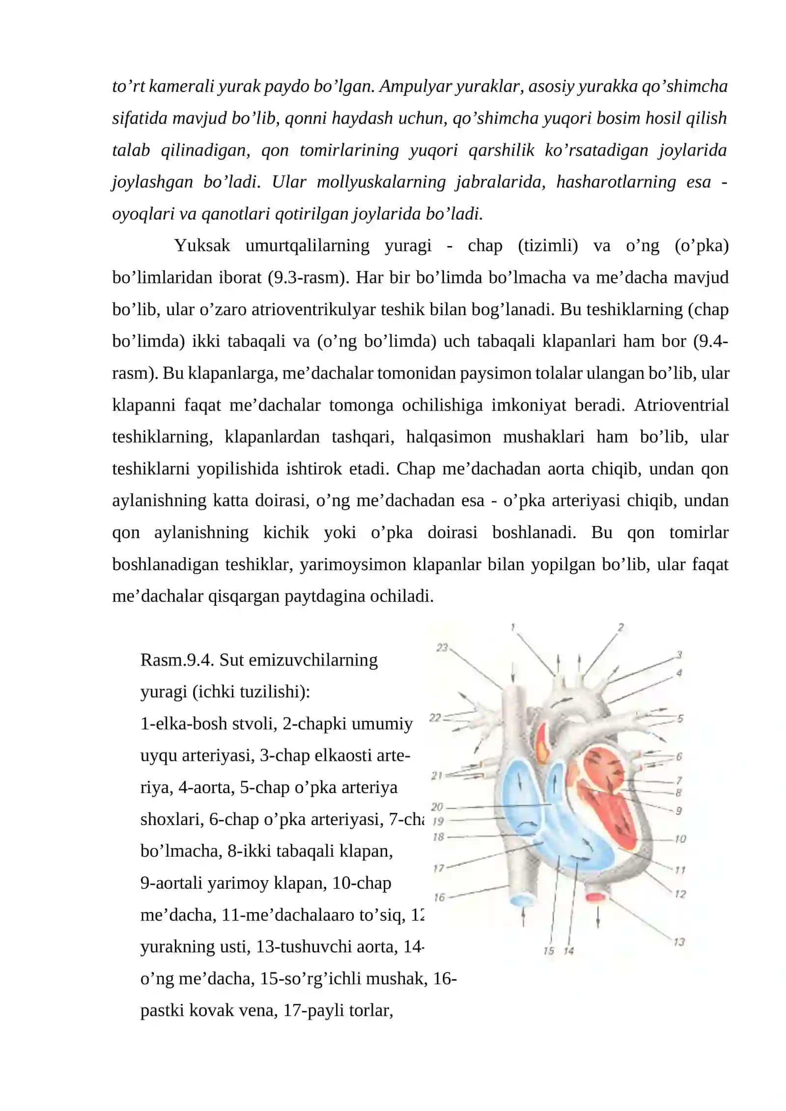 Qon aylanishi tizimi 4