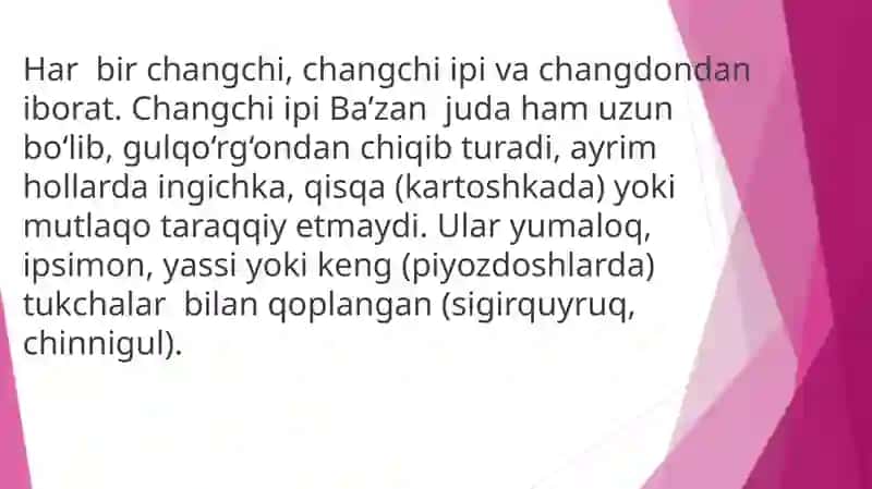 Androssey va gineseyning tuzilishi. Murtakning rivojlanishi. Urug’ va meaning hosil bo’lishi. 4