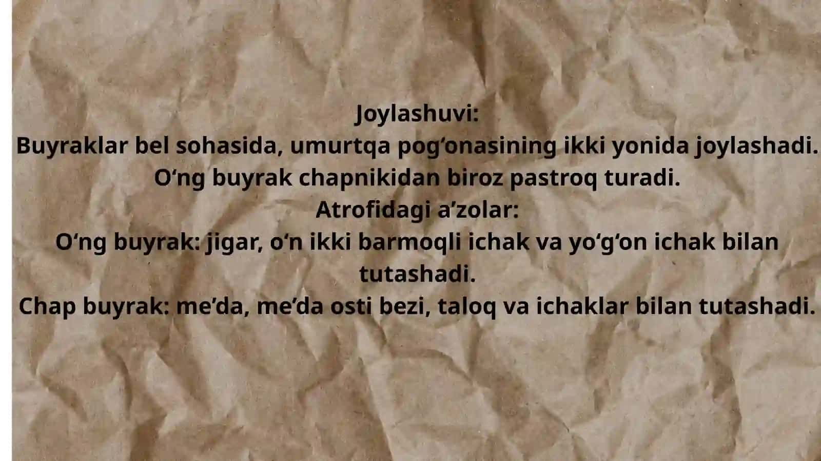 Buyraklar anatomiyasi 4