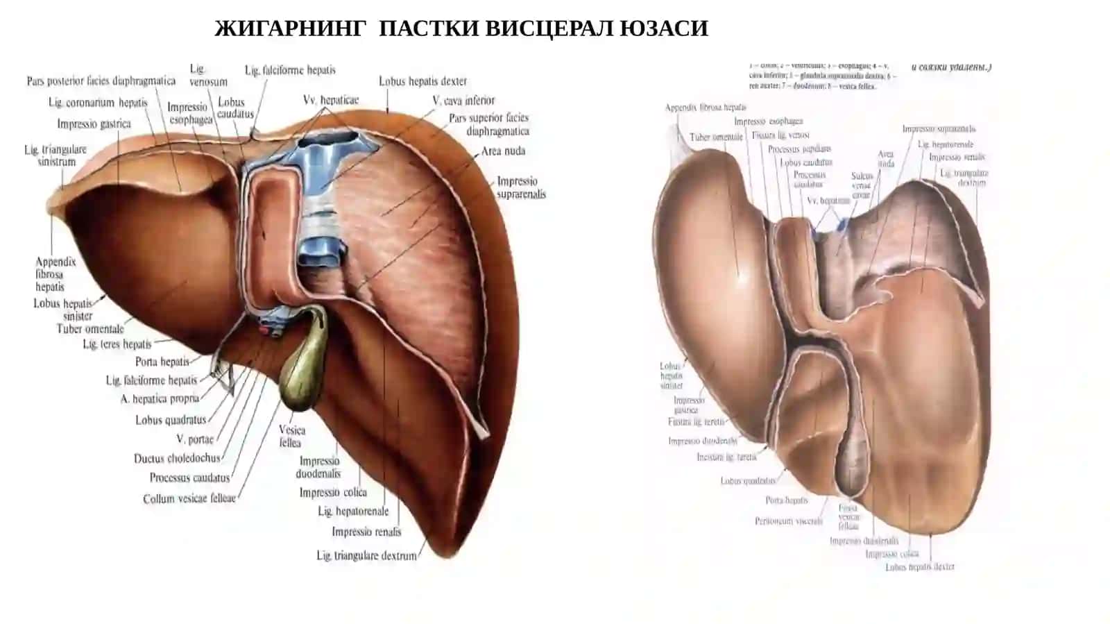 ЖИГАРРАКИ–С22 4