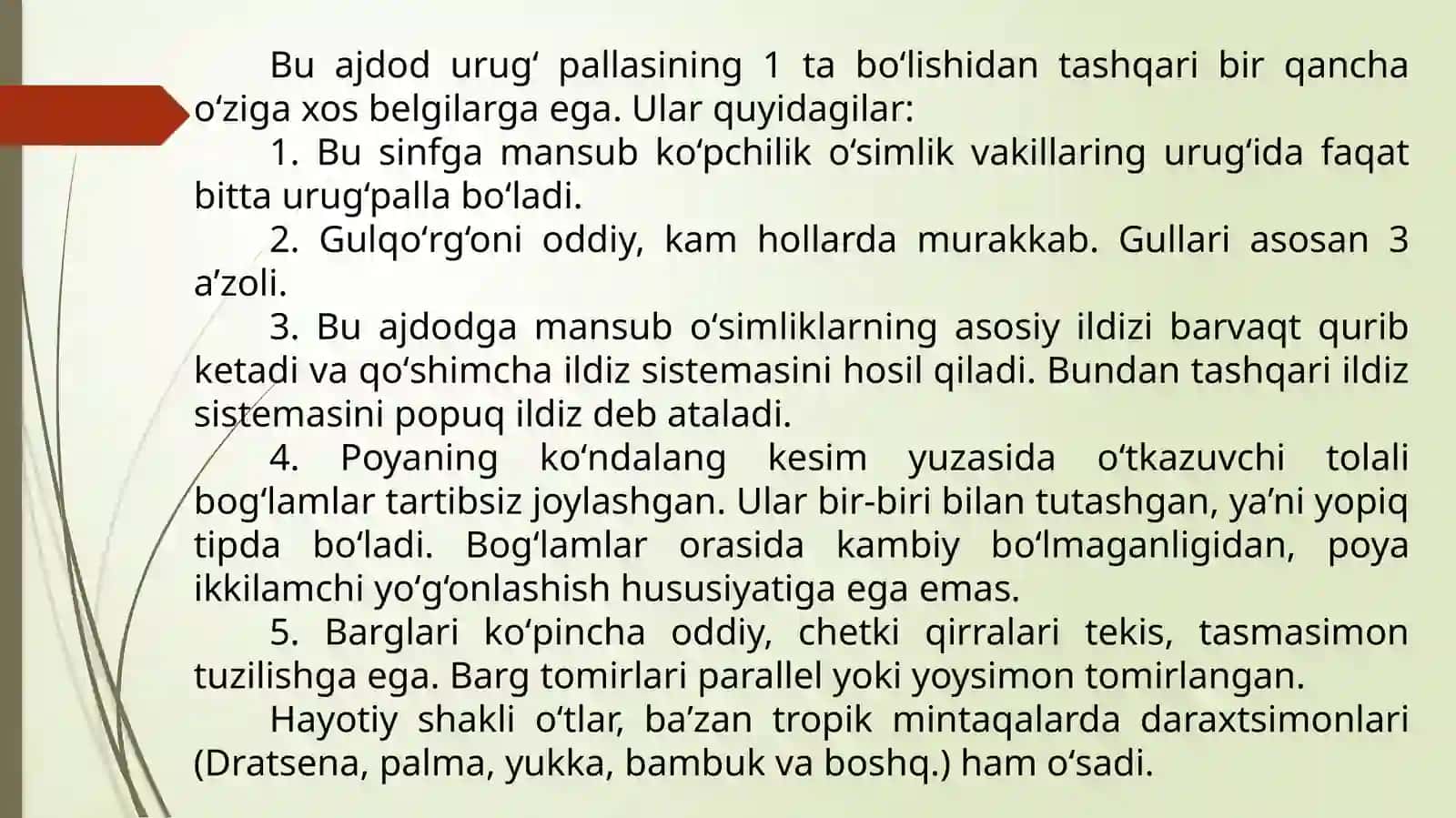 Bir urug‘pallali o‘simliklar sinfi 4