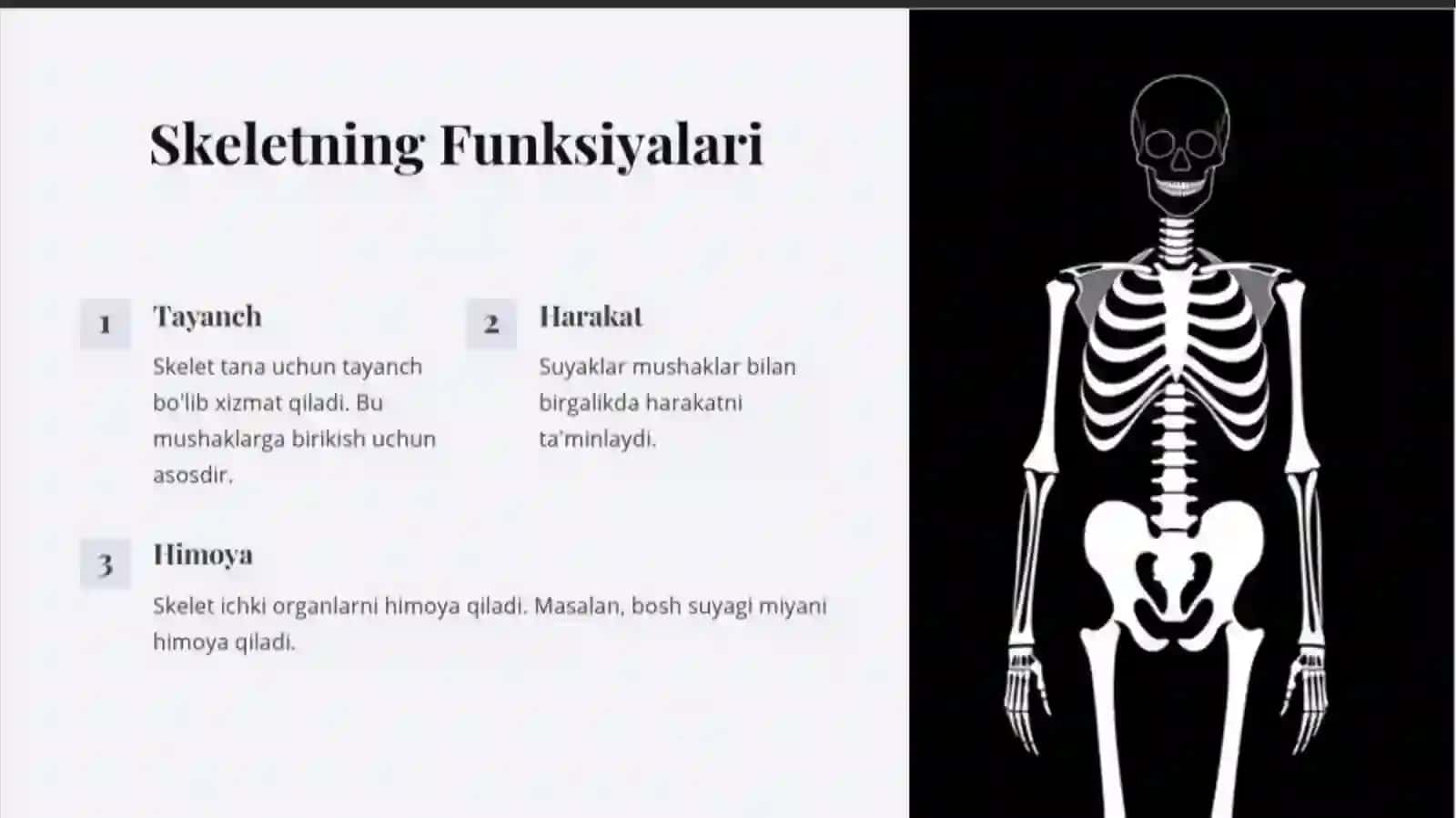 Gavdaskeleti 4
