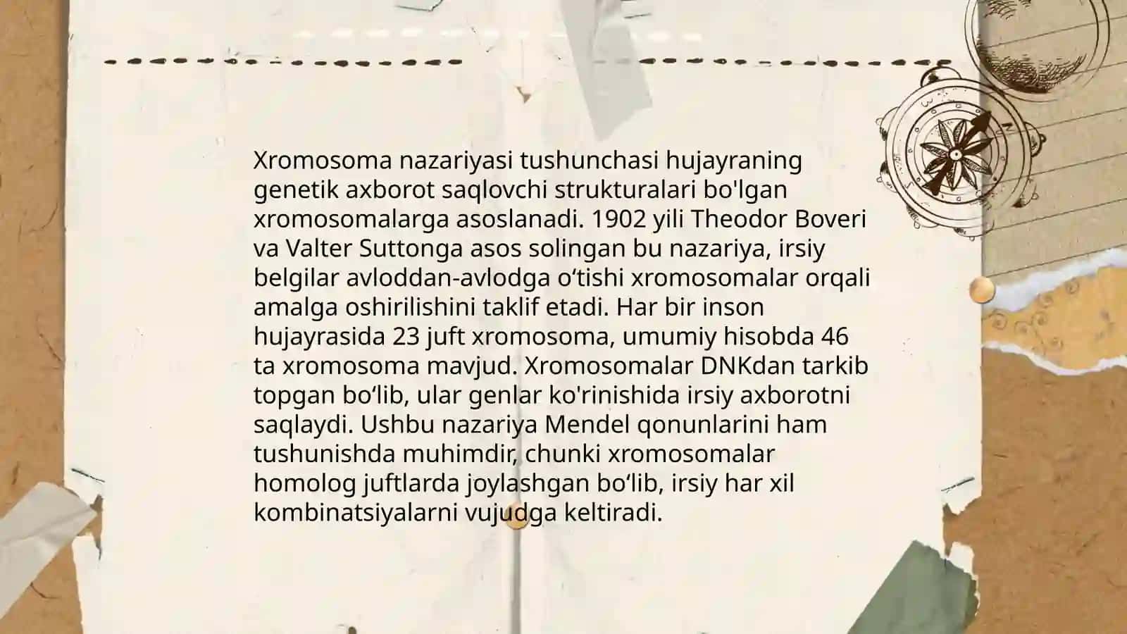 Irsiyatning xromosoma nazariyasi 4