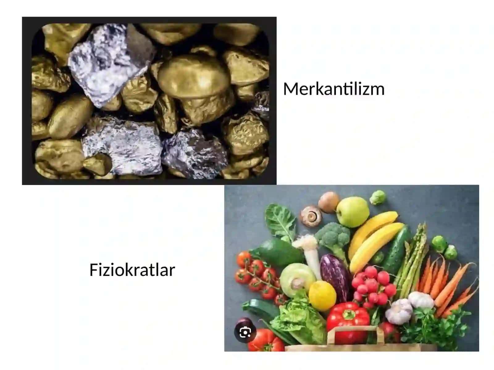 Fiziokratlar va Merkantilizm 4