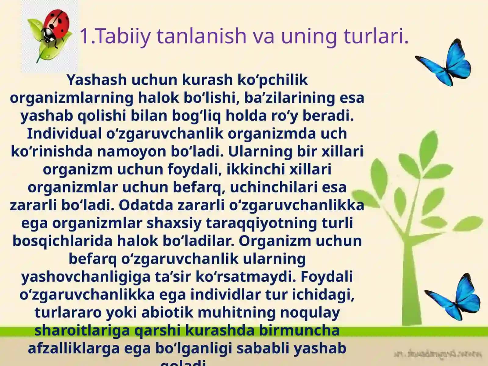 EVOLYUTSION TA`LIMOT13 4