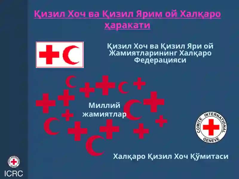 Халқаро Қизил Хоч Қўмитаси фаолиятининг асосий йўналишлари 4