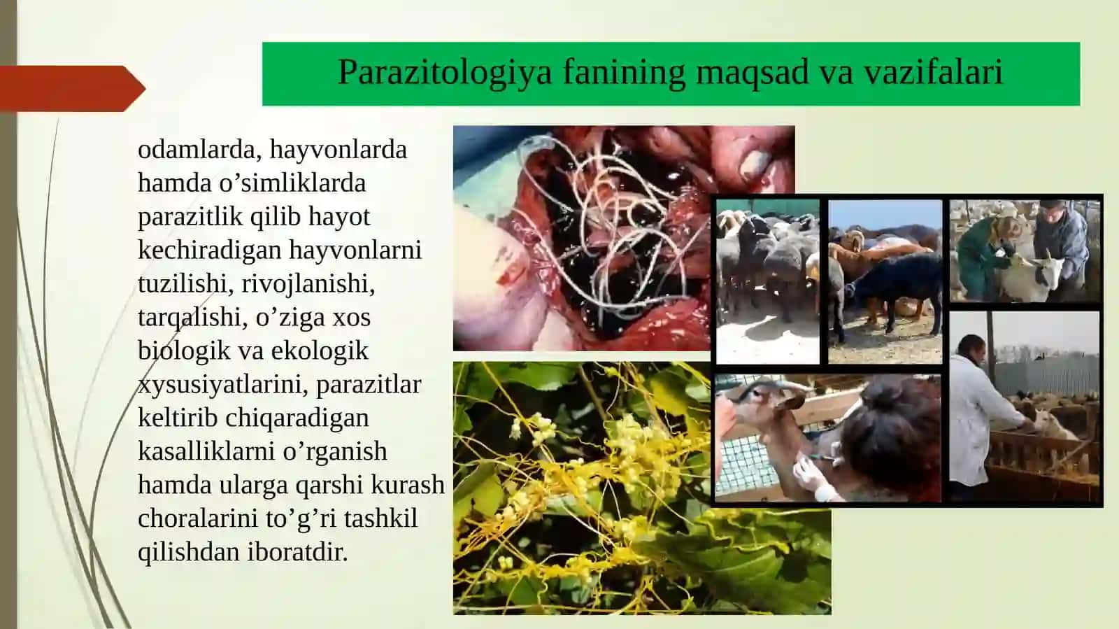 Parazitologiya fanining maqsadivavazifalari,boshqafanlarbilanaloqasi. “Umumiyparazitologiya”fani,uningbiologiyafanitizimidatutgano’rnivaboshqafanlarbilano’zarobog’liqligi,maqsadvavazifalari.Parazitizmvaparazitlarto’g’risidagitushunchalar 4