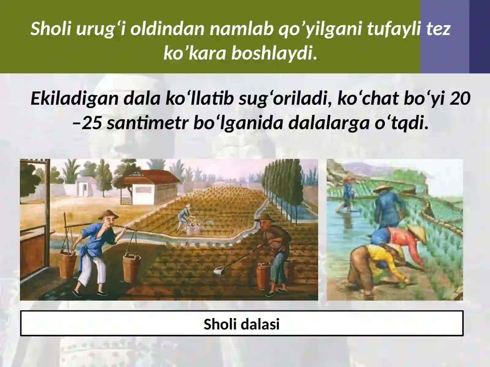 Qadimgi Xitoyning qadimgi sivilizatsiyalari 4