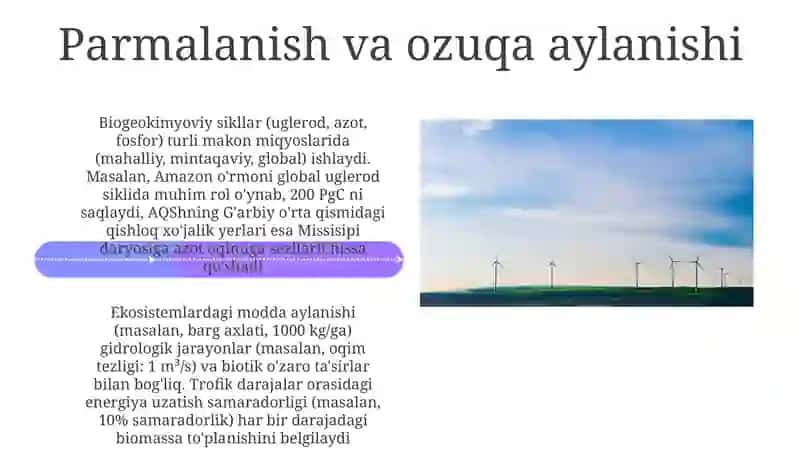 Landshaftlarda biokimyoviy aylanma harakatlar 4