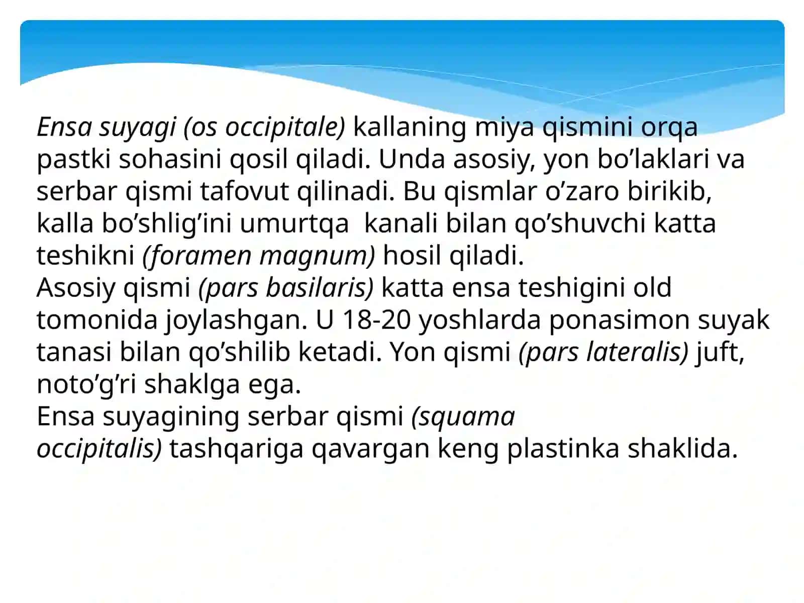 Kallasuyagining miyaqismi suyaklari 4