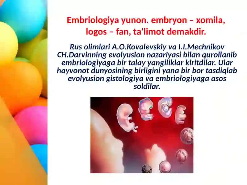 ONTOGENEZ EMBRIONAL TARAQQIYOTNING XUSUSIYATLARI 4