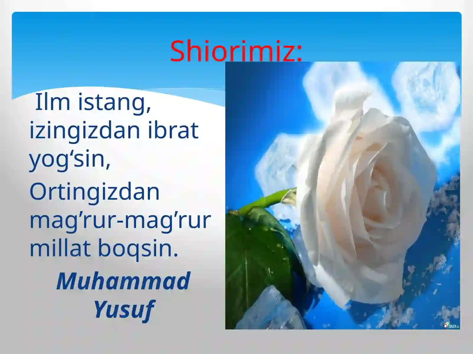 Muhammad Yusufhayotivaijodinio`rganish 4