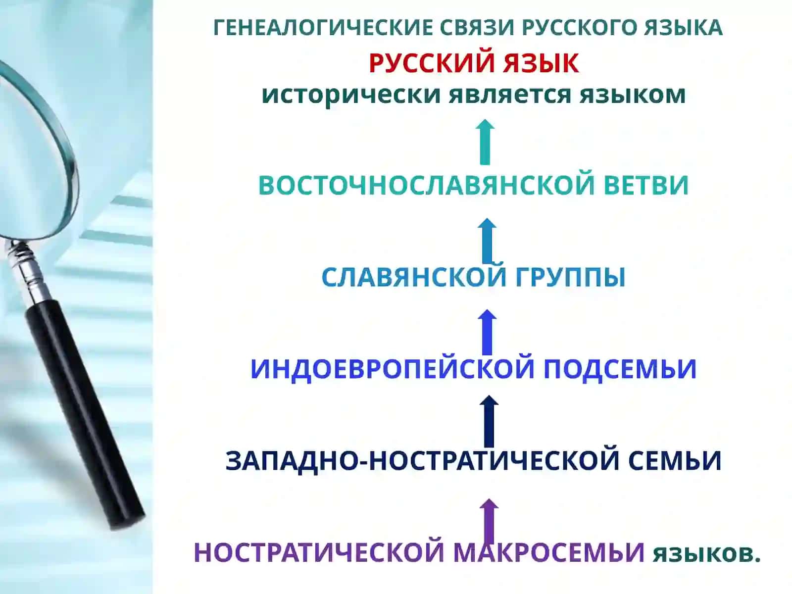 ЛЕКСИКА РУССКОГО ЯЗЫКА С ТОЧКИ ЗРЕНИЯ ПРОИСХОЖДЕНИЯ 4
