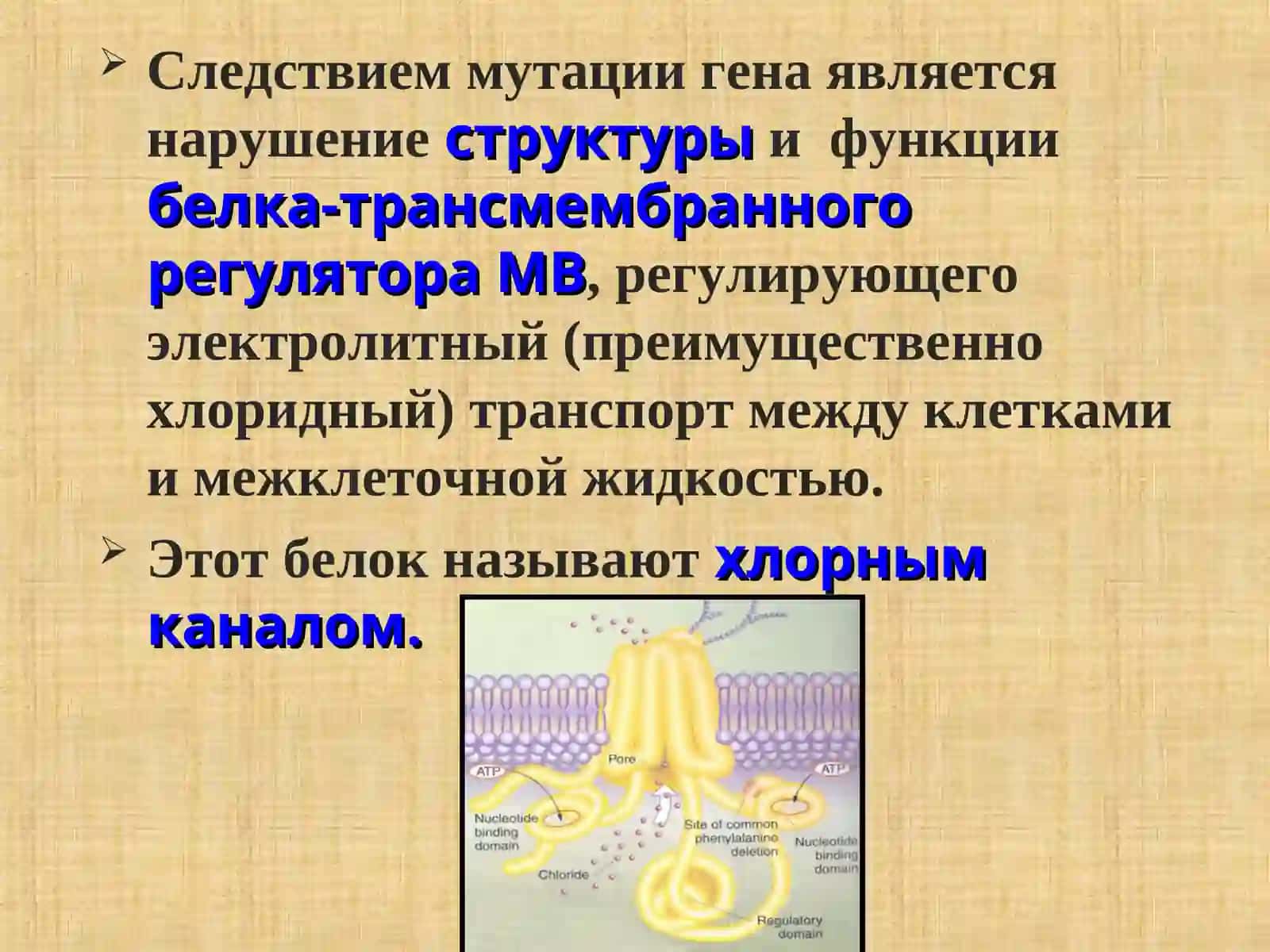 Муковисцидоз 4