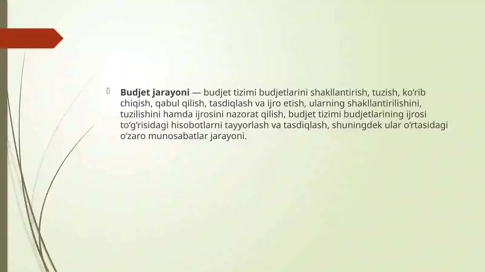 Budjettizimi 4
