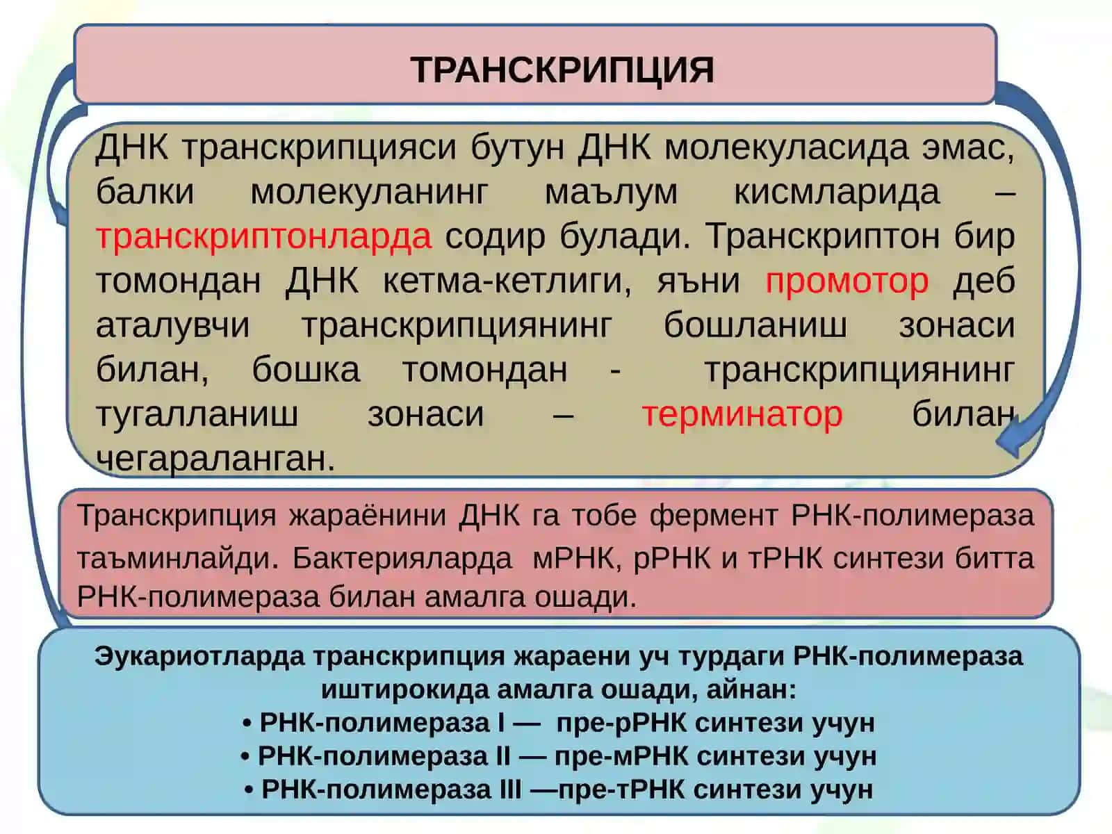 Транскрипция 4