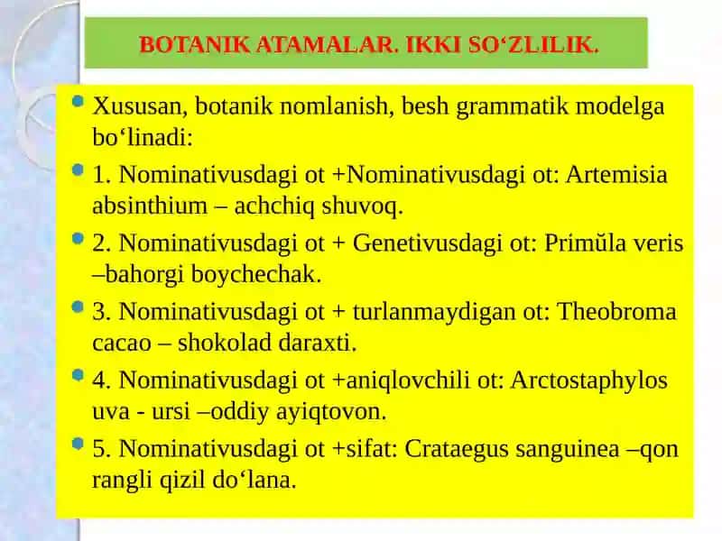BOTANIK ATAMALAR. IKKI So‘ZLILIK. FARMAKOLOGIYADA o‘SIMLIKLARNING BOTANIK NOMLARINING Qo‘LLANILISHI 4