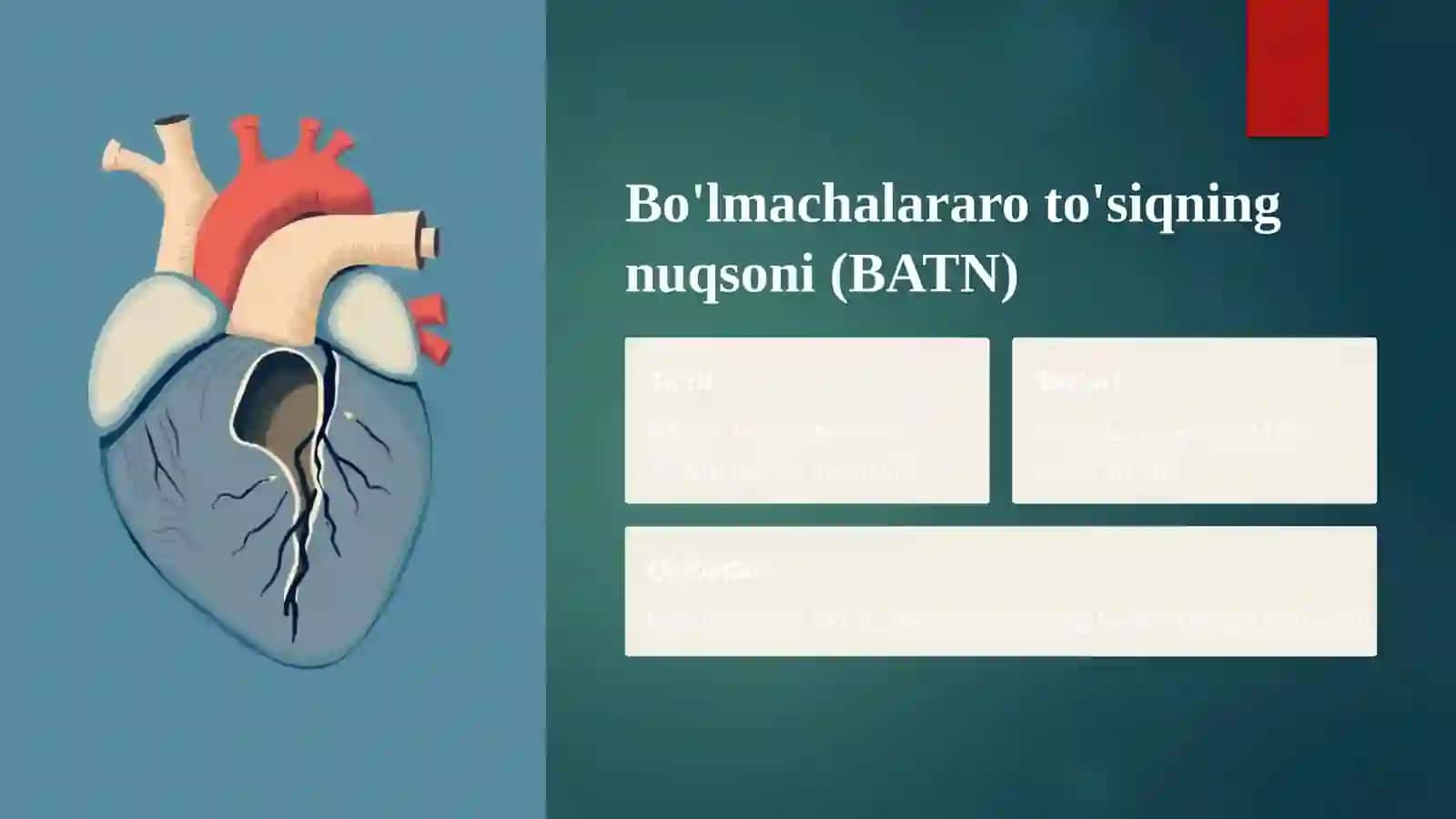 Qorinchalararo to'siqning nuqsoni (QATN) 4
