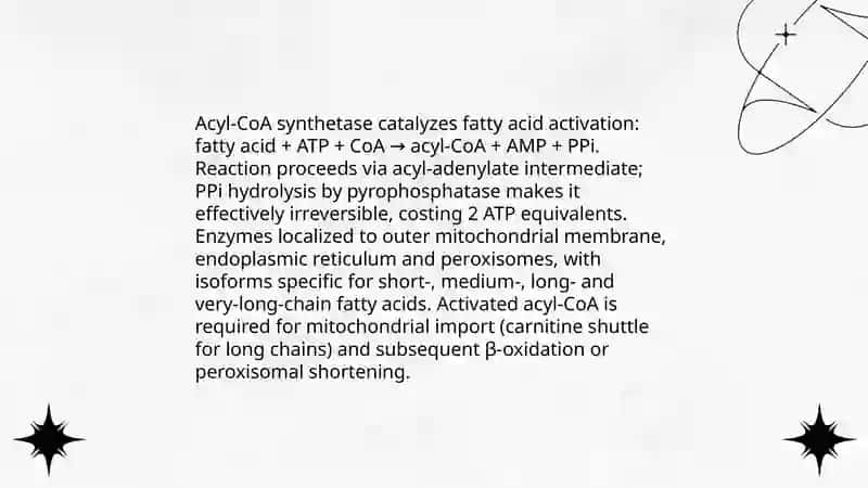 Fatty Acid Oxidation and Ketone Bodies 4