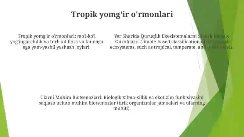 Yer Sharida Quruqlik Ekosistemalarni Shartli Iqlimiy Guruhlari Va Ularni Muhim Biotsenozlari 4