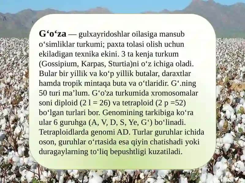 Genetika. evalutsion ta’limot 4
