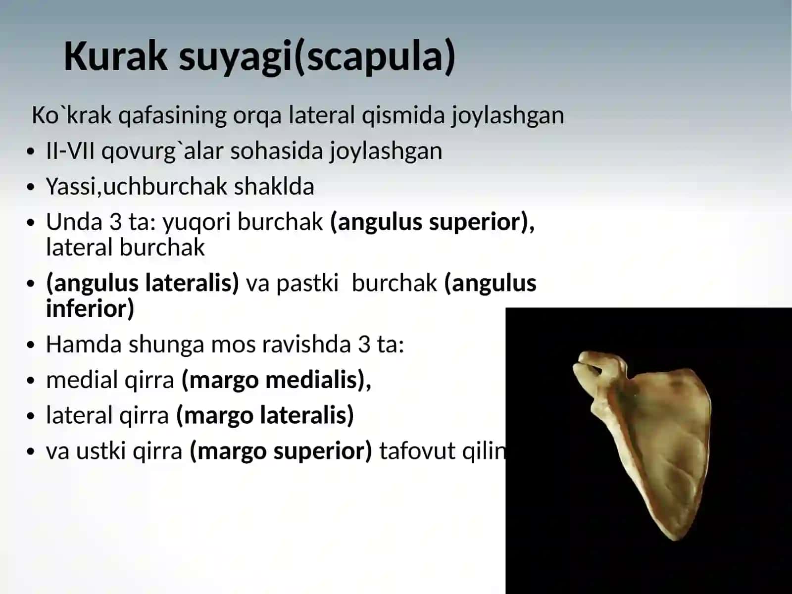 Qo`l suyaklari anatomiyasi 4